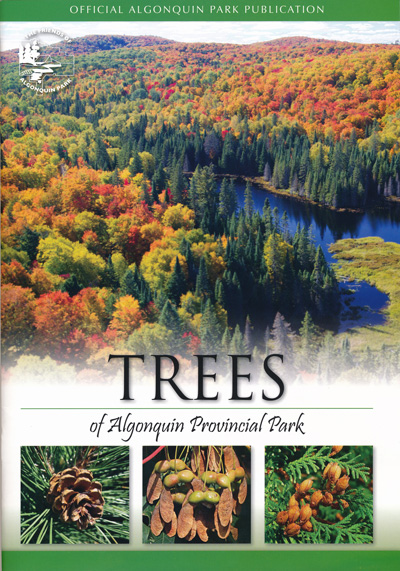 Trees of Algonquin Provincial Park