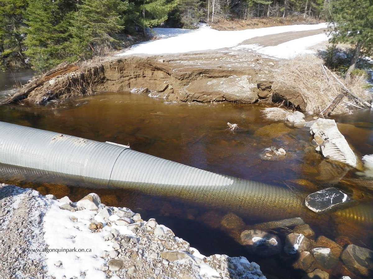 Washout on the Arowhon Road on April 20, 2013