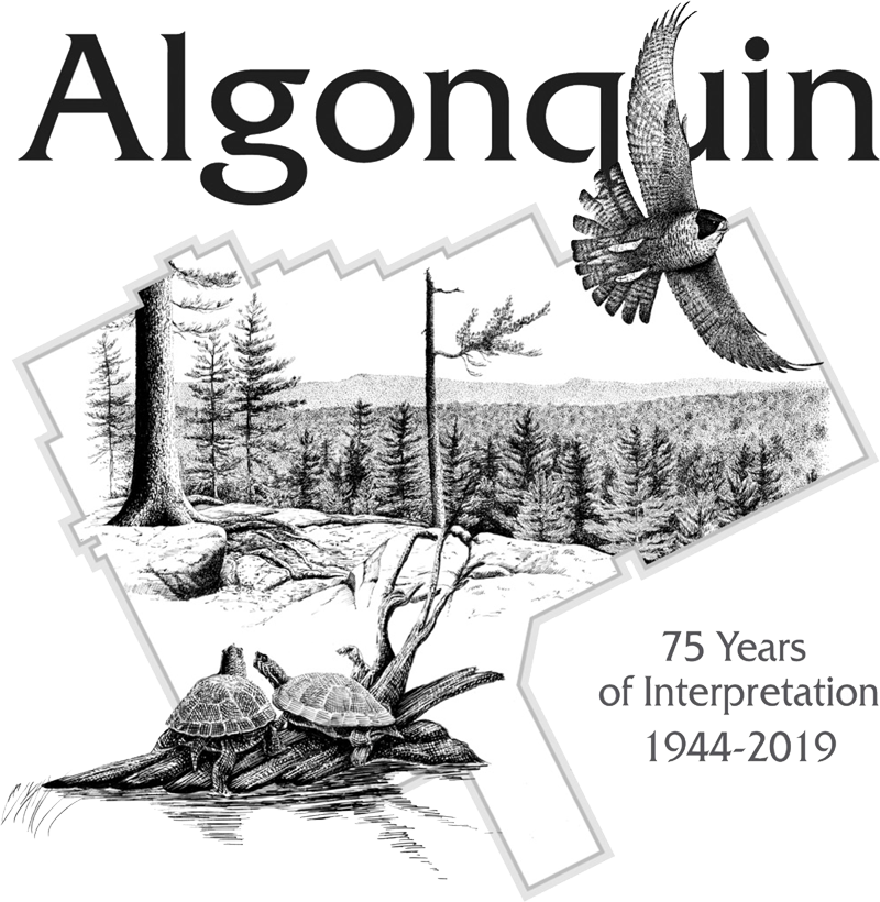 2019 Algonquin Park Visitor Services Reunion Logo