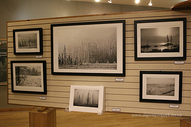 Photography my Mark Majchrowski at the Algonquin Park Visitor Centre