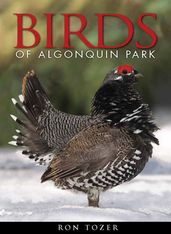 Birds of Algonquin Park cover