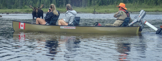 Guided Trips from Algonquin Adventure Tours
