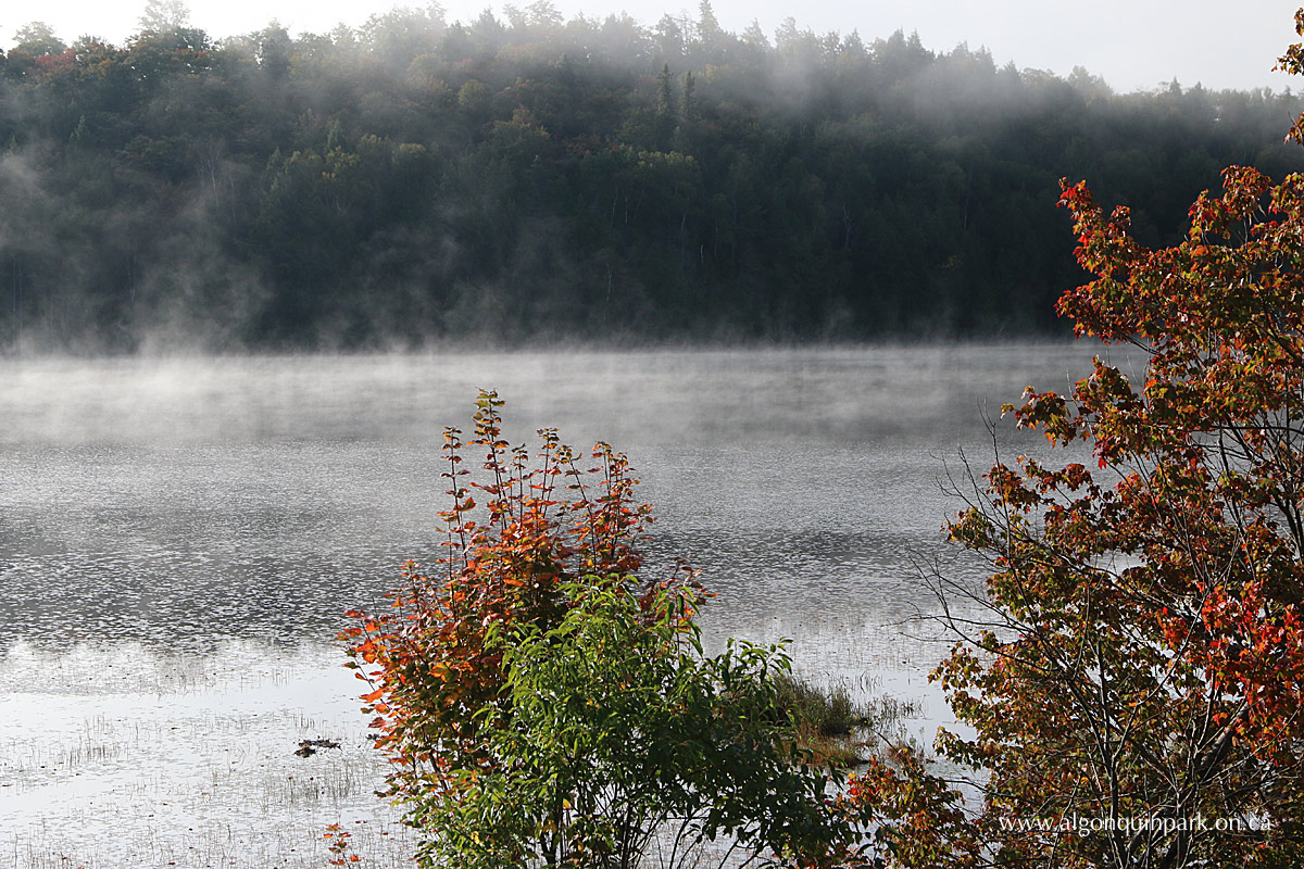 Park Lake in Algonquin Park