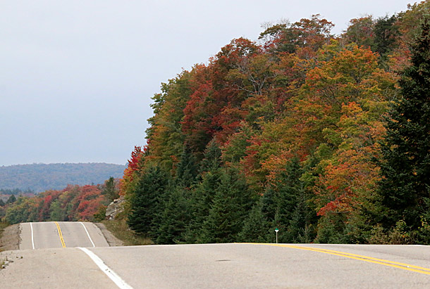 Algonquin Park Fall Colour on September 28, 2015 near the Track and Tower Trail