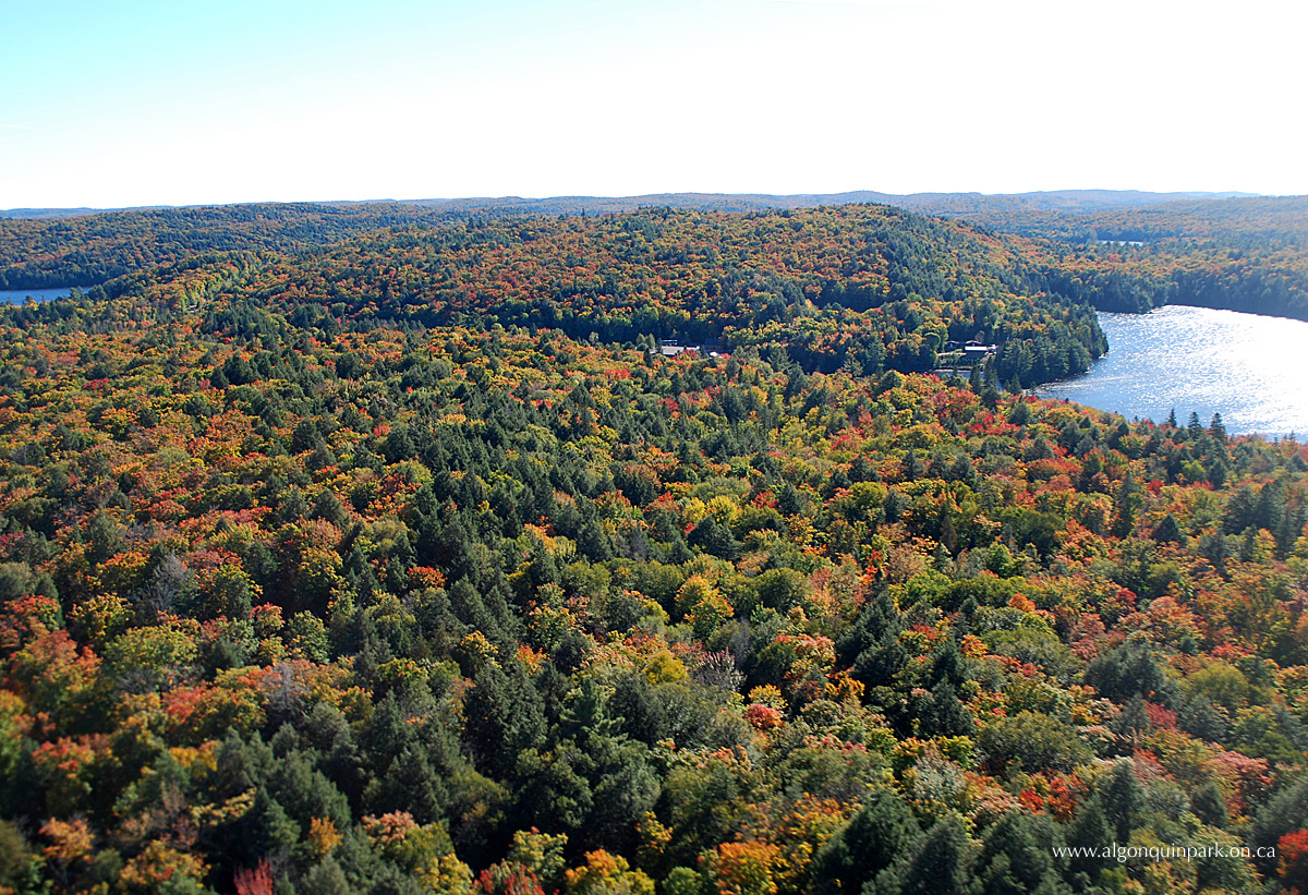 Canoe Lake in Algonquin Park on October 1, 2015