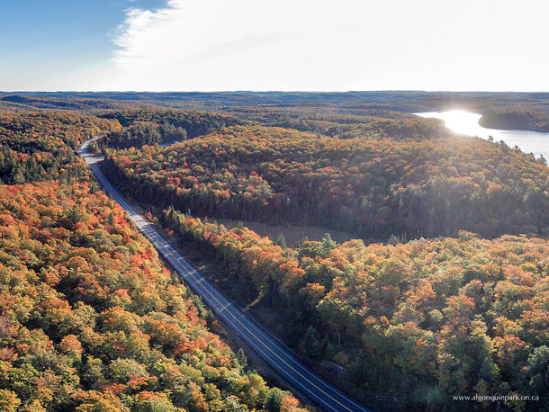 Fall Colour at Lake Tanamakoon in Algonquin Park on October 2, 2015