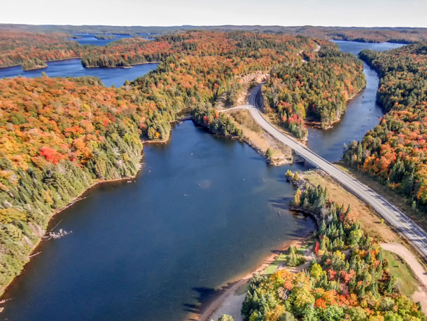 Fall colour at Tea Lake in Algonquin Park on October 2, 2015