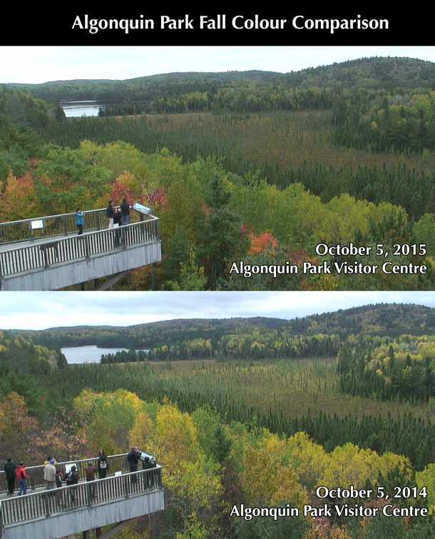 Algonquin Park Fall Colour Comparison 2015 versus 2014 Algonquin Park Fall Colour Comparison 2015 versus 2014