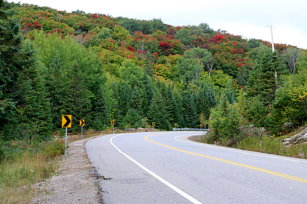 Algonquin Park fall colour on September 20, 2016 at km 16