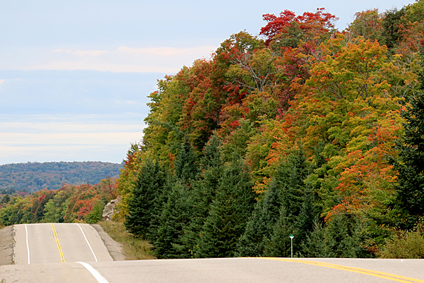 Algonquin Park fall colour on September 20, 2016 at km 16