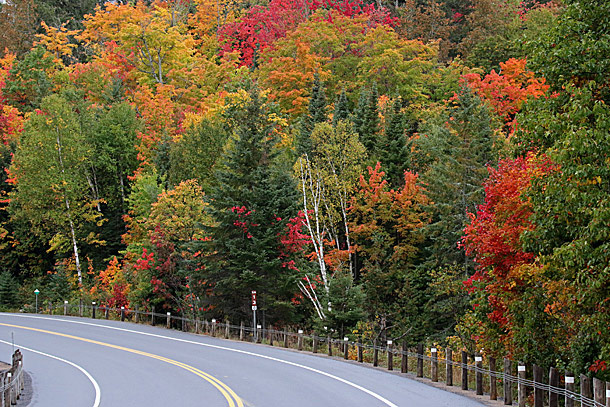 Fall colour at km 16 in Algonquin Park