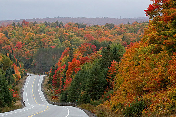 Fall colour at km 16 in Algonquin Park