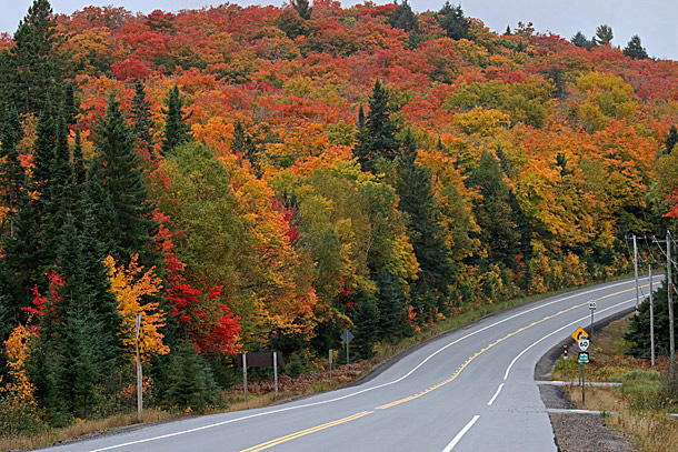 Fall colour at km 16 in Algonquin Park