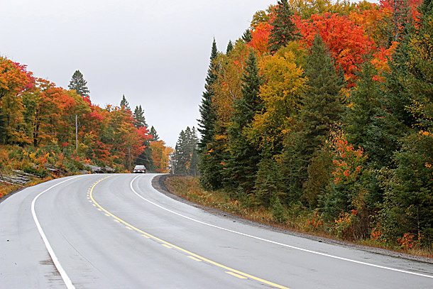 Fall colour at km 16 in Algonquin Park