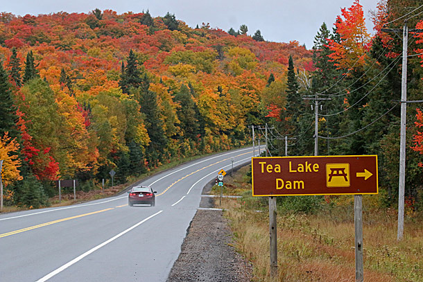 Fall Colour at Tea Lake Dam in Algonquin Park