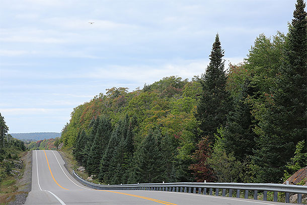 Image: At km 26 of Highway 60 in Algonquin Park on September 11, 2023 (click to enlarge).