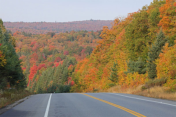 Fall colour at km 16 along Highway 60 in Algonquin Park on September 25, 2023 