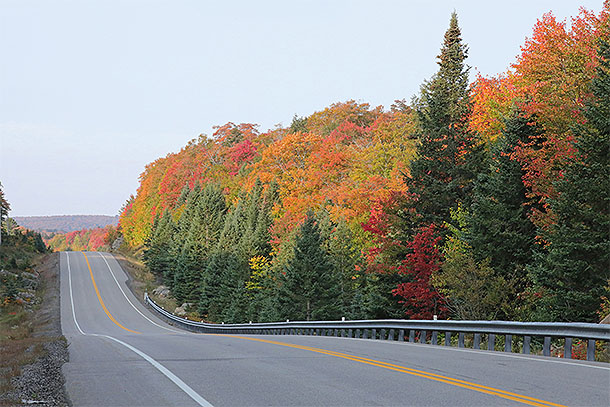 Fall colour at km 26 along Highway 60 in Algonquin Park on September 25, 2023