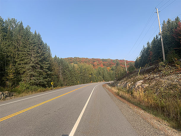Fall colour at km 52 along Highway 60 in Algonquin Park on September 25, 2023