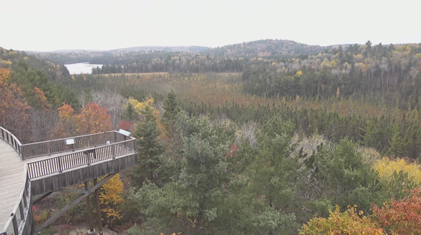 Fall colour at the Algonquin Park Visitor Centre on October 19, 2023