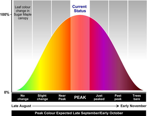 Current Algonquin Park Fall Colour Status Current Algonquin Park Fall Colour Status