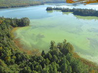 Dickson Lake Algae Bloom - September 2014