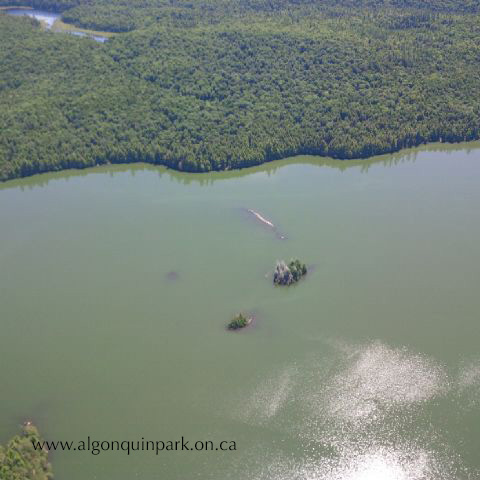 Dickson Lake in June 2015