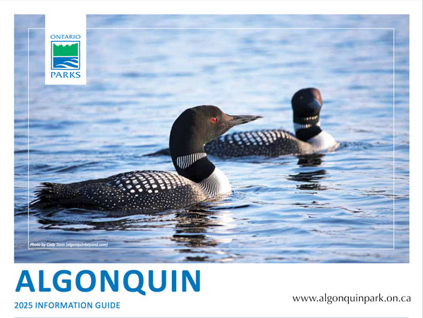 Image: Cover of the 2025 Algonquin Park Information Guide.