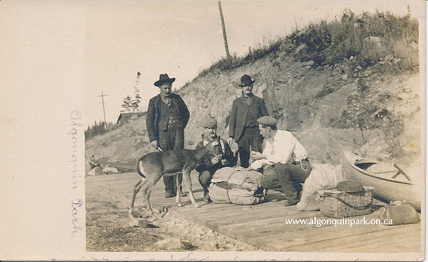 Image: A “real photo” postcard created by Bert Hancock, auditor and bookkeeper at the Highland Inn. The image shows members of a canoe trip party feeding a deer on a railway platform with their canoe and packs nearby. The reverse is postmarked 1908. 