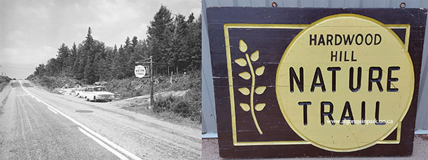 Image: Right &ndash; Entrance to the Hemlock Bluff Nature Trail with cars parked along Highway 60, 1961. APPAC, APM 873. Left &ndash; The Hardwood Nature Trail Sign in Algonquin Park&rsquo;s artifact collection. APPAC, 2024.26.1. In 1961, a new standardized style of highway signs for nature trails was launched across all Provincial Parks in Ontario. Algonquin Park Naturalist Programme&rsquo;s year-end report of the year stated they were &ldquo;very eye-catching, and have evoked many favourable comments&rdquo;. 