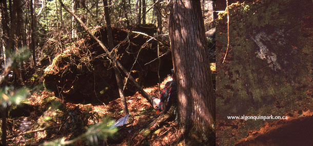 Image: Keen eyed observers travelling through Algonquin Park&rsquo;s backcountry may discover remnants of the influences of J.R. Booth. This pile of logs, abandoned for unknown reasons in Paxton Township, bears one of the many registered timber marks for the J.R. Booth Lumber Company. But who was J.R. Booth? APPAC, x2025.26.1-4. 