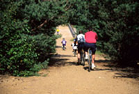 Old Railway Bike Trail