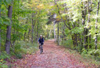 Old Railway Bike Trail