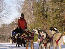 Dog Sledding in Algonquin Park