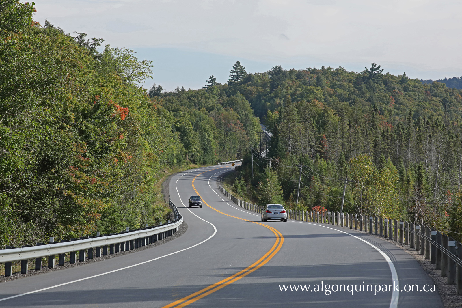 Highway 60 near the west boundary in Algonquin Park on September 12, 2022