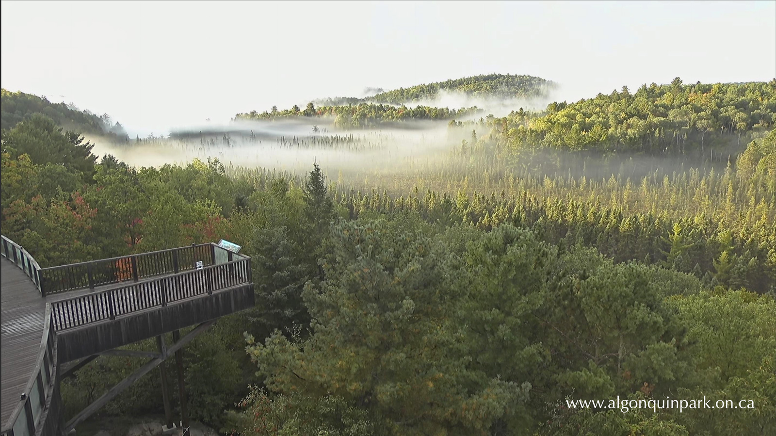 View of the Sunday Creek valley in Algonquin Park on September 15, 2022, when temperatures dipped to -1°C overnight at the Park's East Gate.