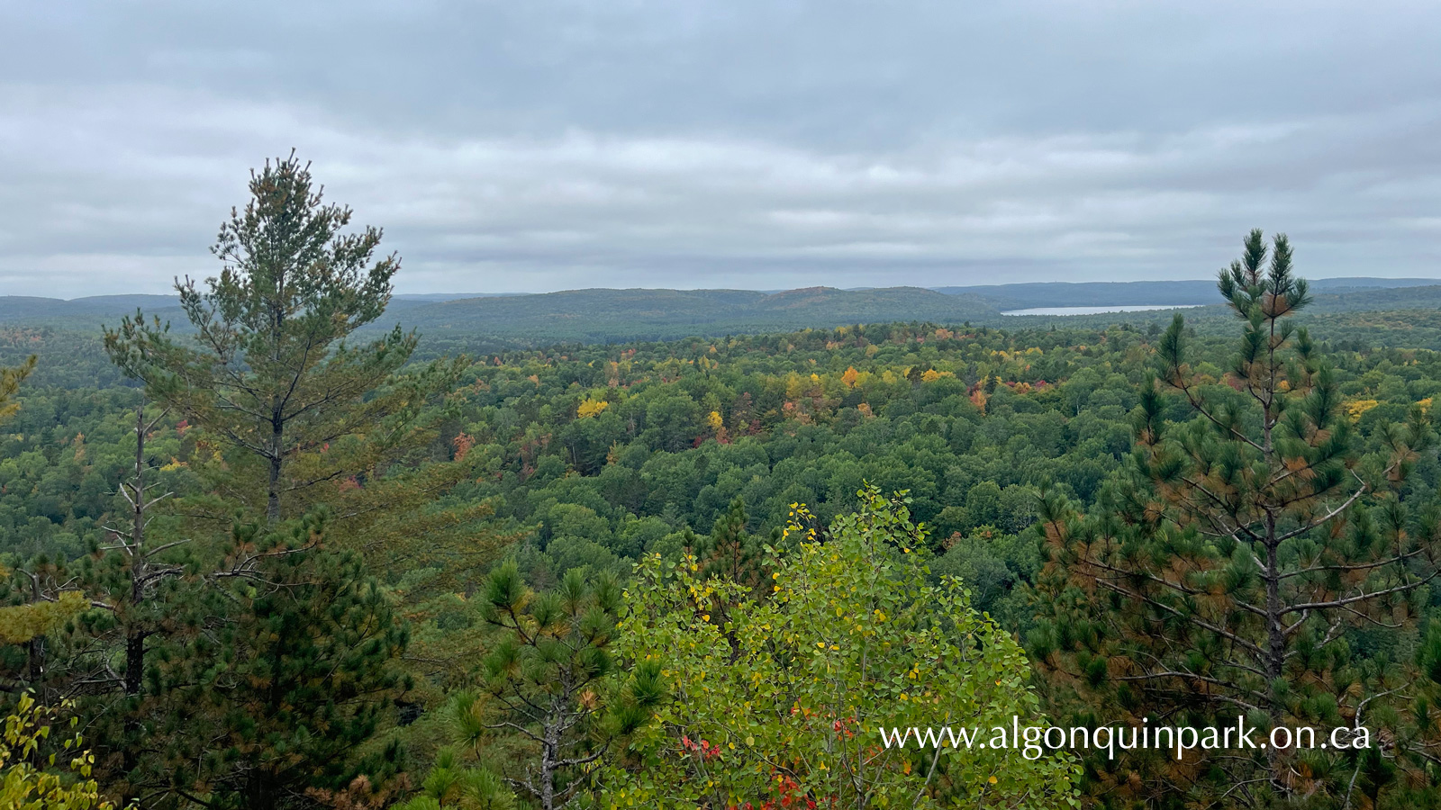 View at the Lookout Trail in Algonquin Park on September 17, 2022.