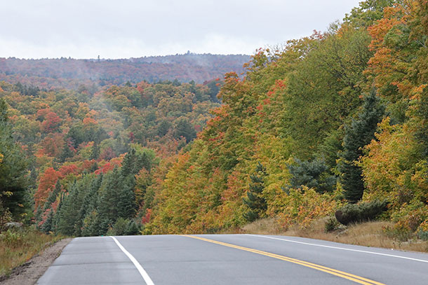 Image: Highway 60 at km 16 in Algonquin Park on September 27, 2022 (click to enlarge).