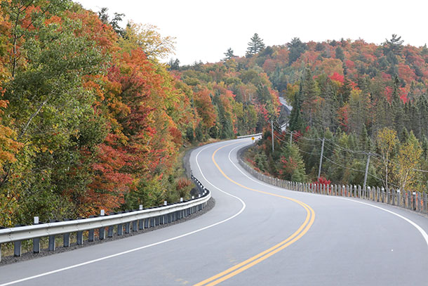 Image: Approaching the West Gate on Highway 60 in Algonquin Park on October 1, 2022. (click to enlarge).