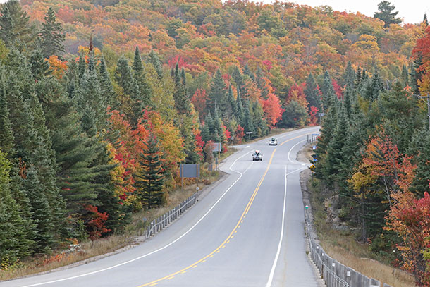 Image: At km 20 of Highway 60 in Algonquin Park on October 1, 2022. (click to enlarge).