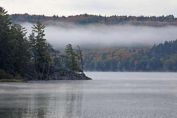 Image: Foggy conditions at Lake of Two Rivers in Algonquin Park on October 1, 2022. (click to enlarge).