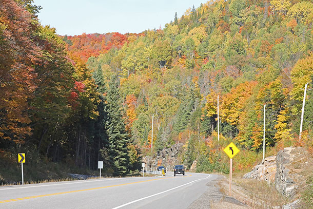 Fall colour along Highway 60 in Algonquin Park on October 4, 2022.