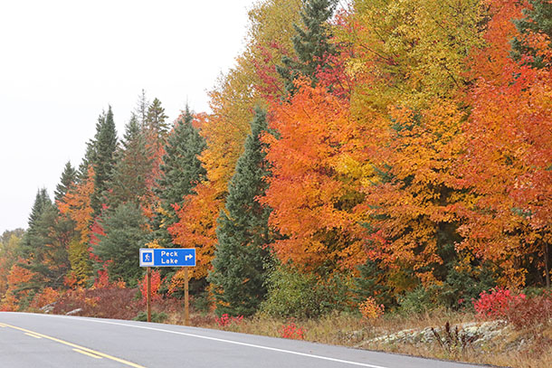 Image: Fall colour at km 19 of Highway 60 in Algonquin Park on October 7, 2022. (click to enlarge).