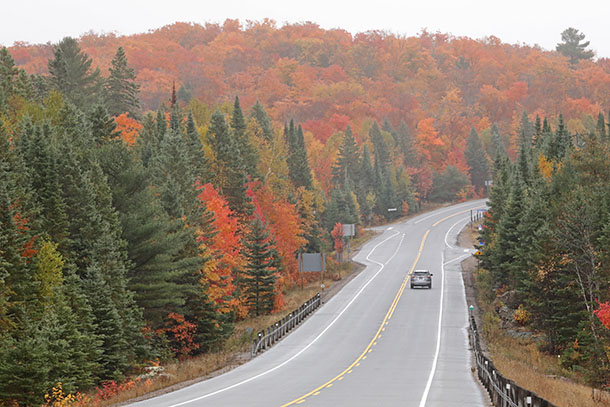 Image: Fall colour at km 20 of Highway 60 in Algonquin Park on October 7, 2022. (click to enlarge).