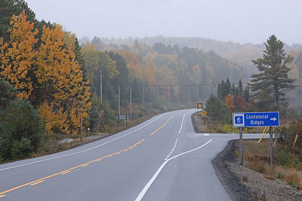 Image: Poplar fall colour at km 38 of Highway 60 in Algonquin Park on October 7, 2022. (click to enlarge). 