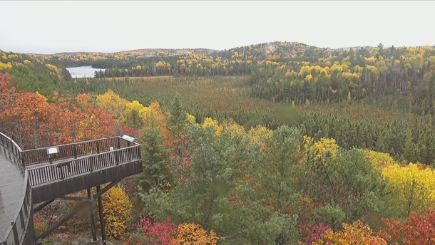 Fall colour at the Algonquin Park Visitor Centre in Algonquin Park on October 13, 2022.