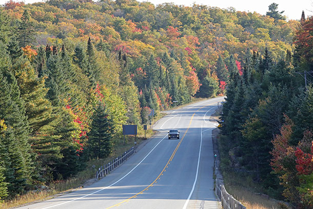 https://www.algonquinpark.on.ca/images/fall_2023-09-22_km20_s.jpg