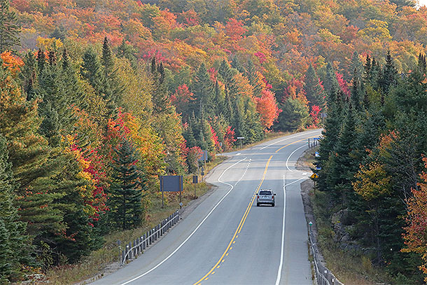 Fall colour at km 20 along Highway 60 in Algonquin Park on September 25, 2023 