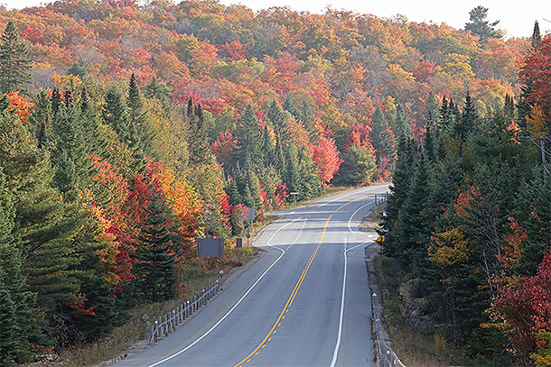 At km 20 of Highway 60 in Algonquin Park on September 28, 2023