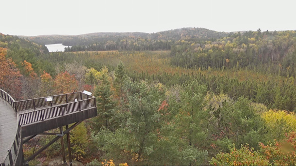 Fall colour at the Algonquin Park Visitor Centre on October 10, 2023